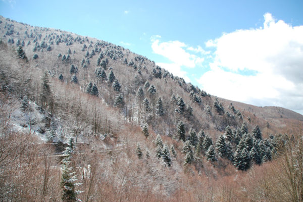 paesaggi (9)